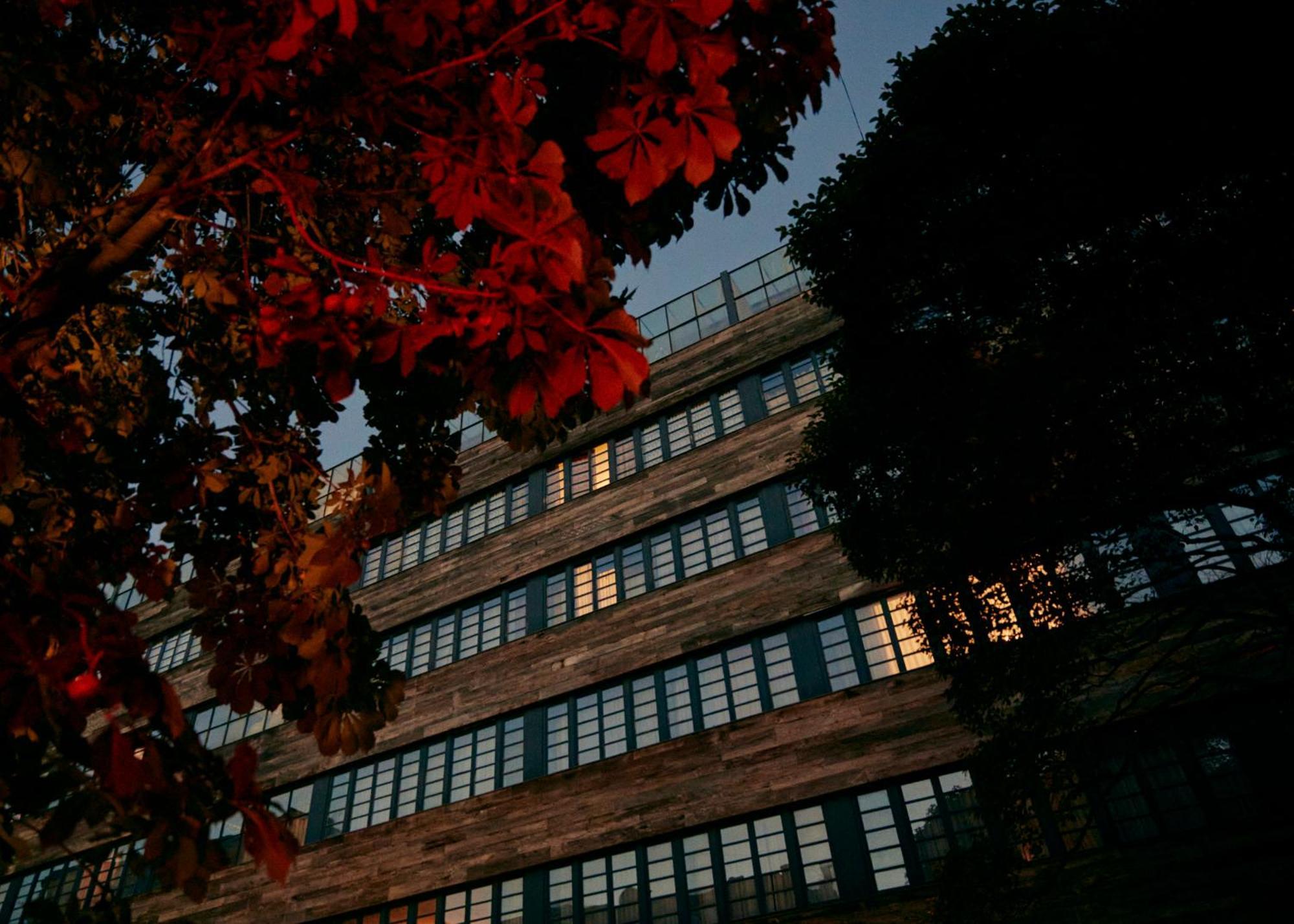 Rooms Hotel Tbilisi Exterior foto The main building of the university